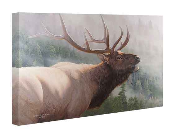 Canvas Edition