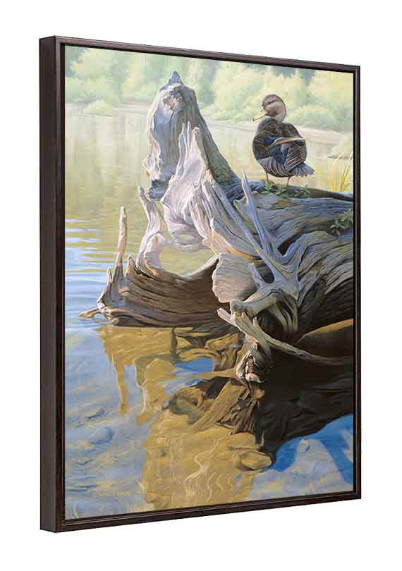 Canvas Floater Framed