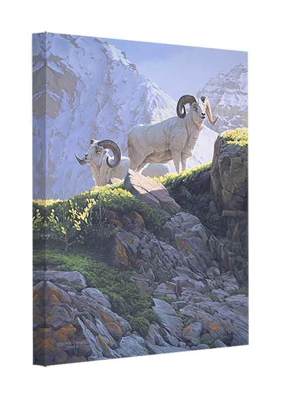 Canvas Edition