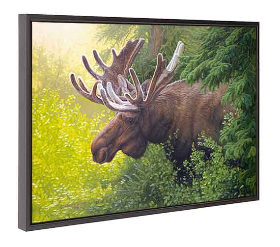 Canvas Floater Framed