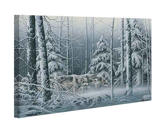 Canvas Edition