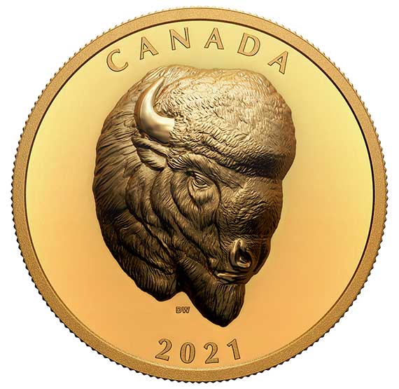 Buffalo EHR Coin By Derek C. Wicks