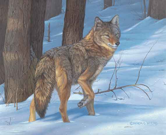 Evening Perambulate by Derek Wicks