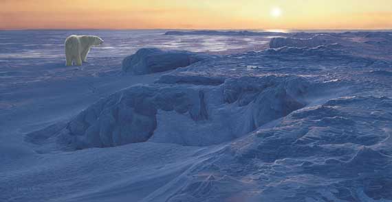 Winter Filigree by Derek Wicks