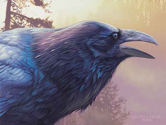 Valley Of The Raven by Derek Wicks
