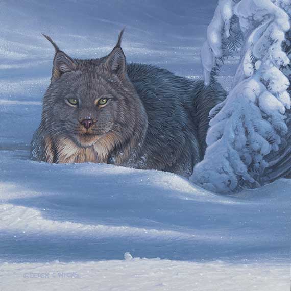 Winter Bundle by Derek Wicks